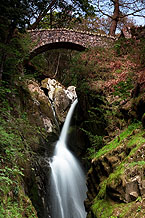 Aira Force