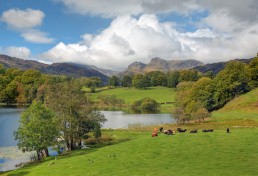 on the Westmorland Way